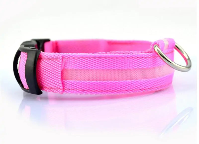LED Dog Safety Collar – Night Glow